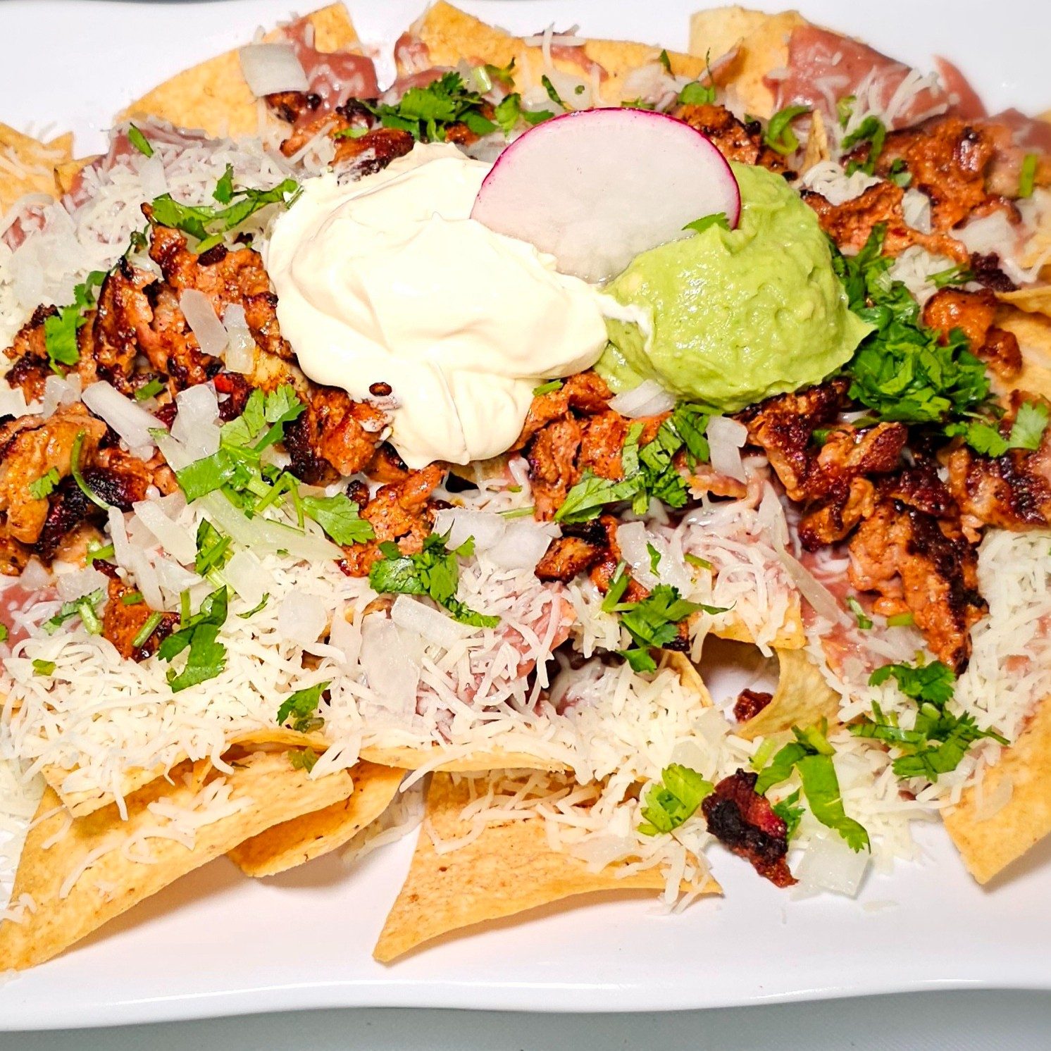 LOADED NACHOS.