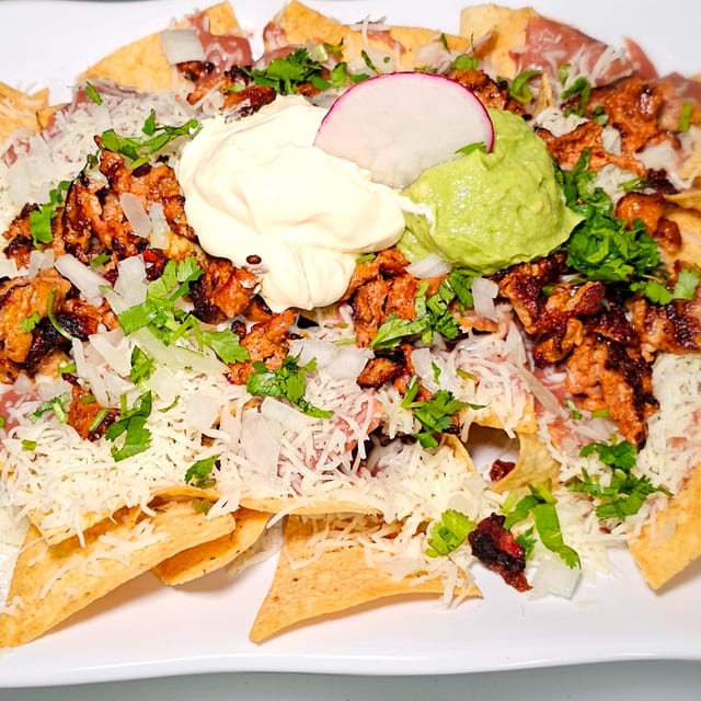 LOADED NACHOS.